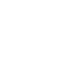 SAS Brasil Logo